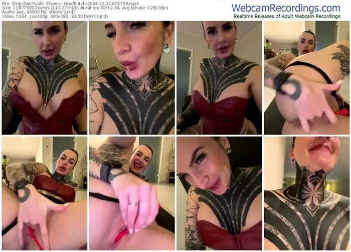 2024/12/24/stripchat-inkedbiitch-07-27-59