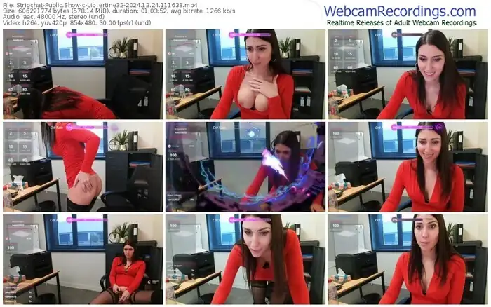 2024/12/24/stripchat-lib_ertine32-11-16-33