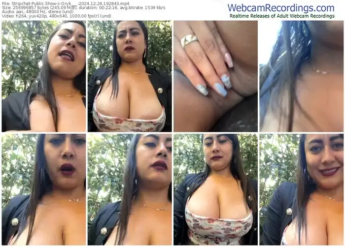 2024/12/24/stripchat-oryk___-19-28-43