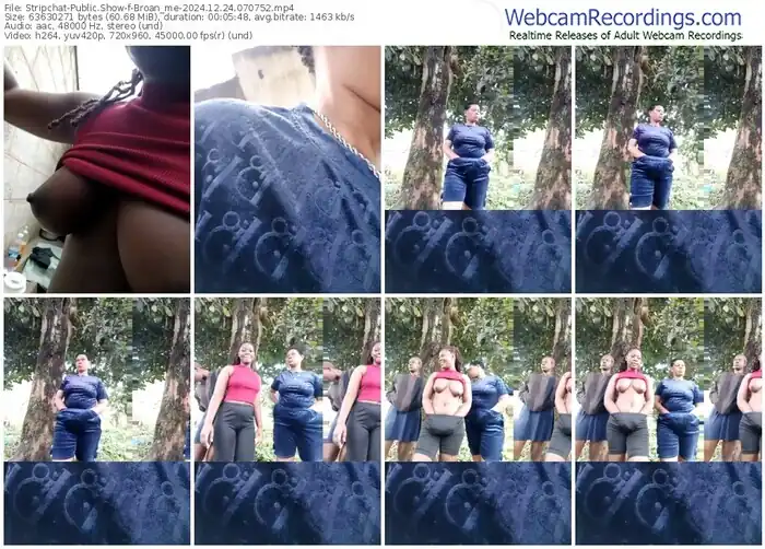 2024/12/24/stripchat-broan_me-07-07-52