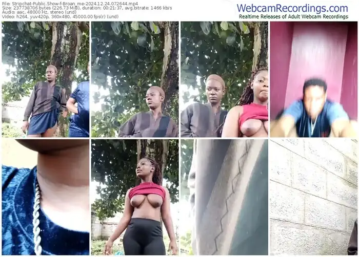 2024/12/24/stripchat-broan_me-07-26-44