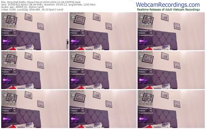 2024/12/24/stripchat-nicol-gil20-03-35-50