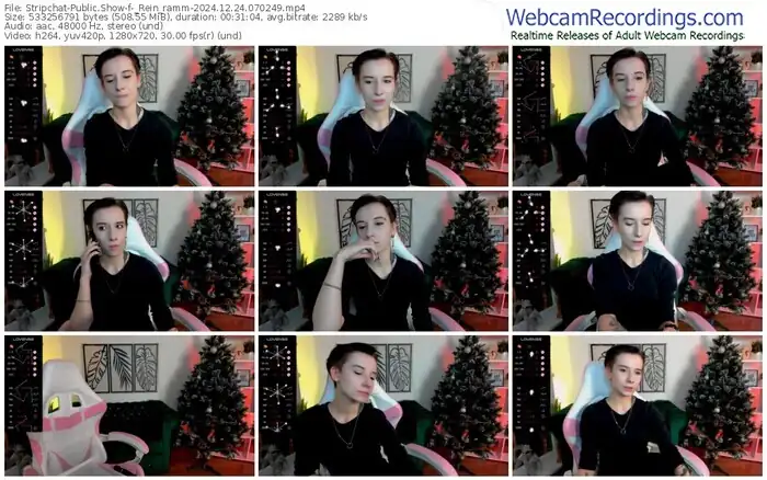 2024/12/24/stripchat-_rein_ramm-07-02-49