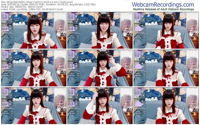 2024/12/24/stripchat-a0513-17-32-42