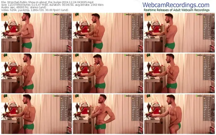 2024/12/24/stripchat-about_the_bulge-04-36-35