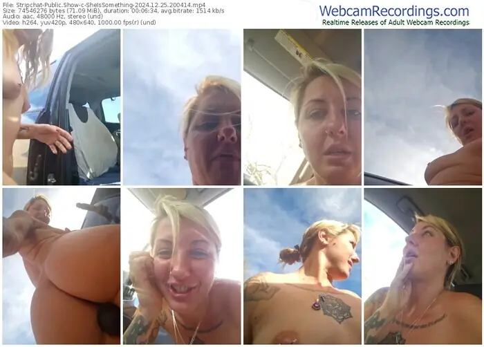 2024/12/25/stripchat-sheissomething-20-04-14