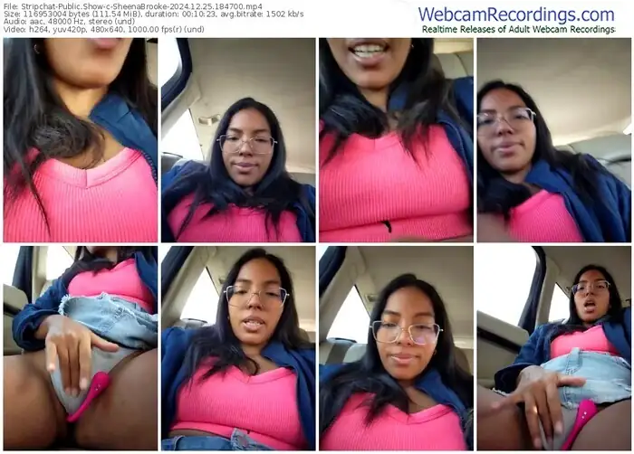 2024/12/25/stripchat-sheenabrooke-18-47-00
