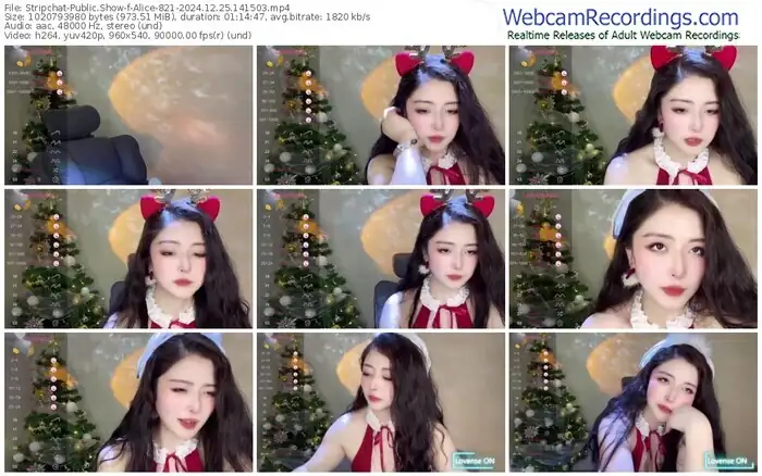 2024/12/25/stripchat-alice-821-14-15-03