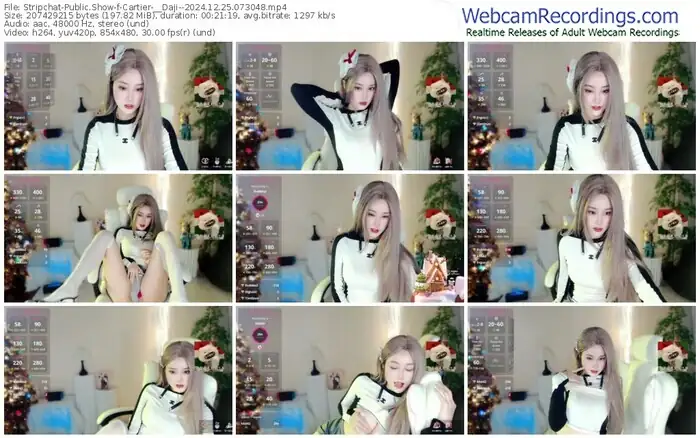 2024/12/25/stripchat-cartier-__daji--07-30-48