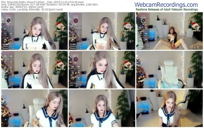 2024/12/25/stripchat-cartier-__daji--15-41-35