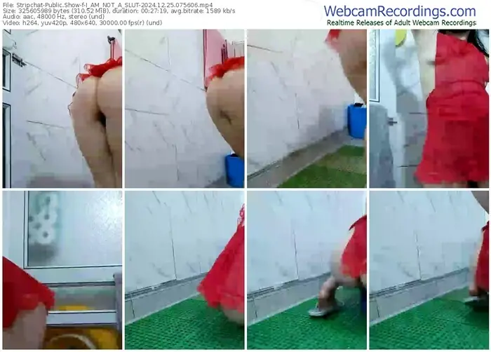 2024/12/25/stripchat-i_am_not_a_slut-07-56-06