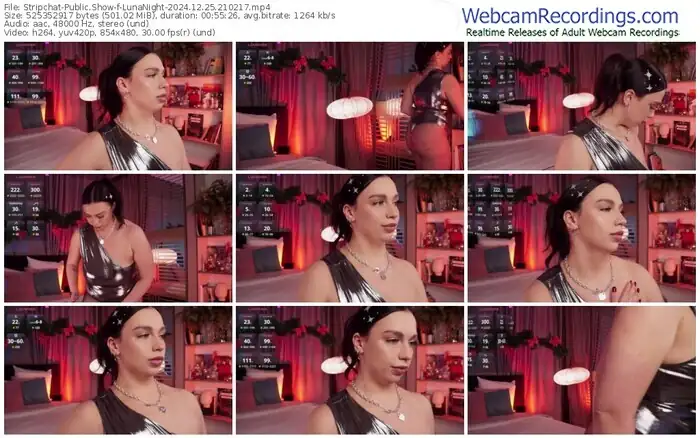 2024/12/25/stripchat-lunanight-21-02-17