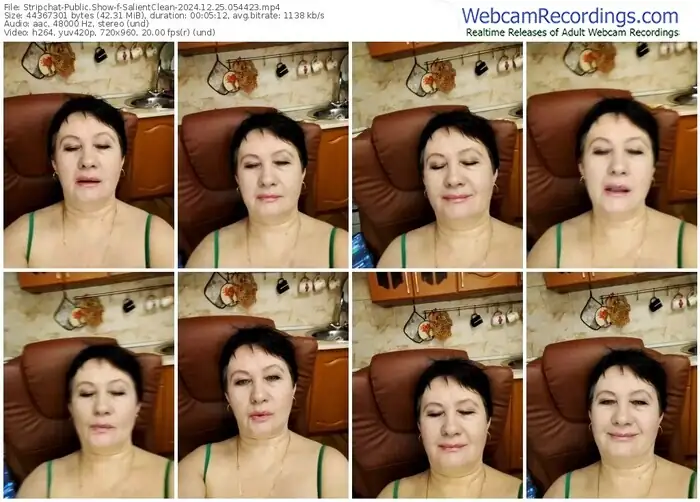 2024/12/25/stripchat-salientclean-05-44-23