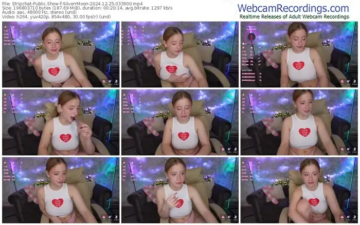 2024/12/25/stripchat-silverrmoon-03-39-00