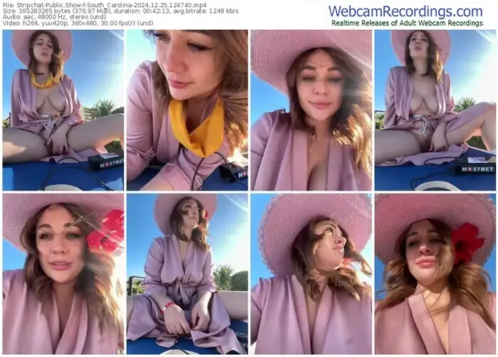 2024/12/25/stripchat-south_carolina-12-47-40