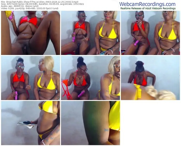 2024/12/25/stripchat-the_wickles_4443-14-03-13