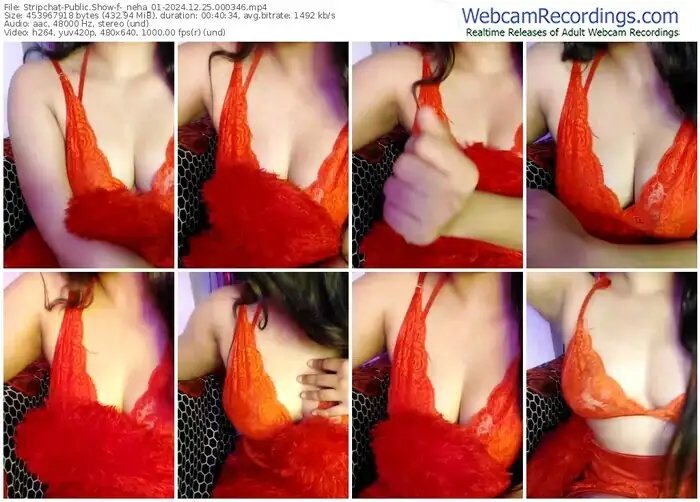 2024/12/25/stripchat-_neha_01-00-03-46