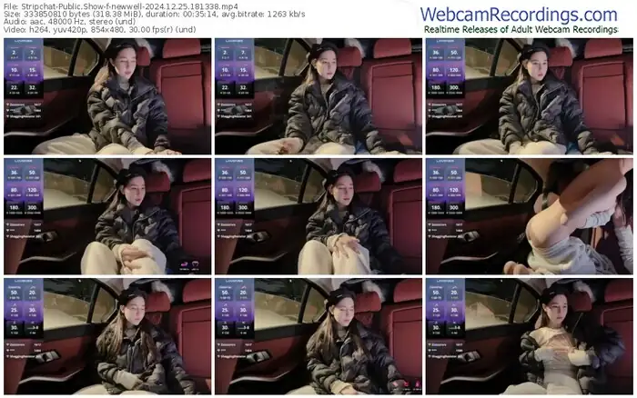 2024/12/25/stripchat-newwell-18-13-38
