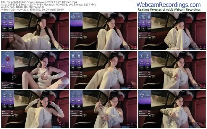 2024/12/25/stripchat-newwell-18-55-46
