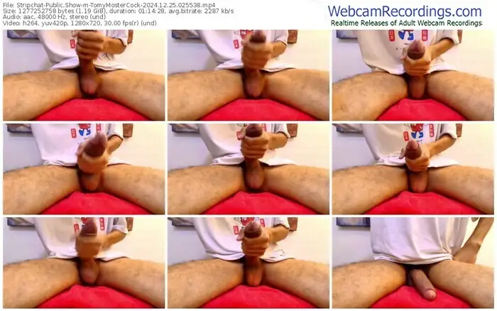 2024/12/25/stripchat-tomymostercock-02-55-38