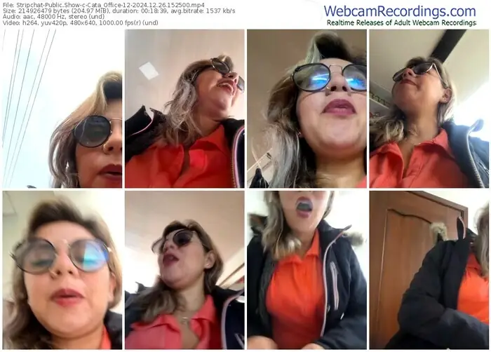 2024/12/26/stripchat-cata_office-12-15-25-00