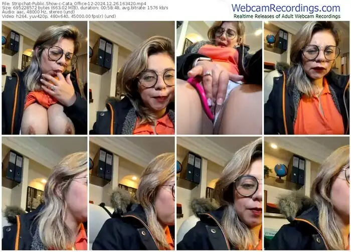 2024/12/26/stripchat-cata_office-12-16-34-20