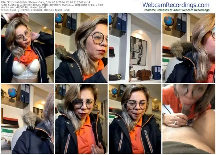 2024/12/26/stripchat-cata_office-12-21-20-49