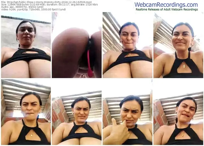 2024/12/26/stripchat-horny-mommy-dirty-16-25-06