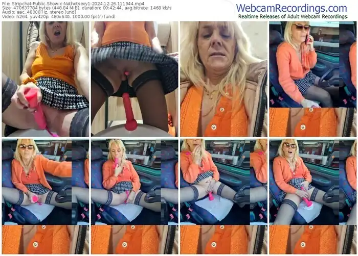 2024/12/26/stripchat-nathotsexy1-11-19-44