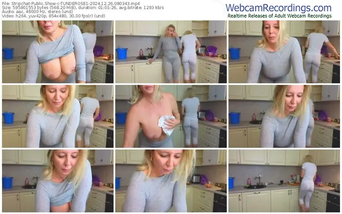 2024/12/26/stripchat-tunderose1-08-03-43