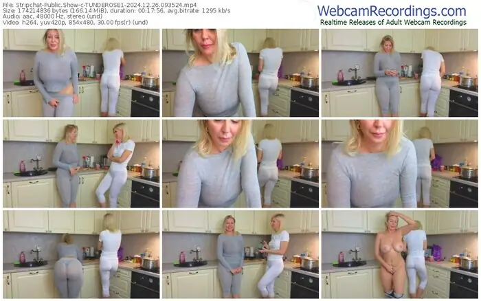 2024/12/26/stripchat-tunderose1-09-35-24