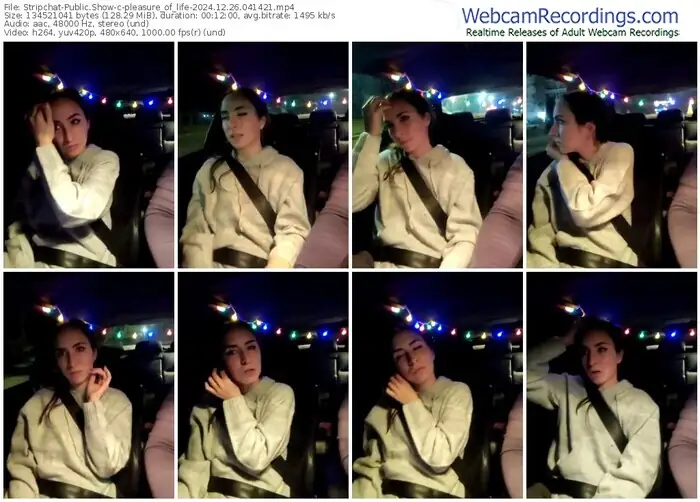 2024/12/26/stripchat-pleasure_of_life-04-14-21