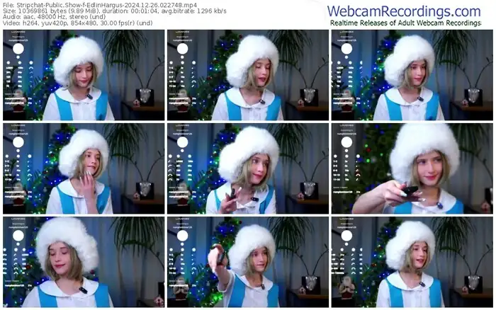 2024/12/26/stripchat-edlinhargus-02-27-48