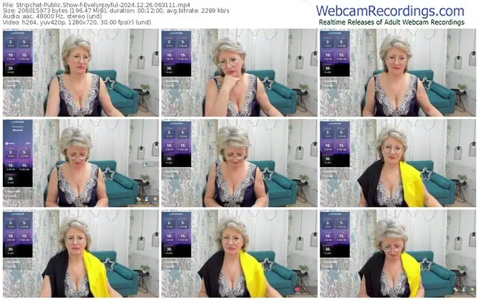 2024/12/26/stripchat-evelynjoyful-06-31-11