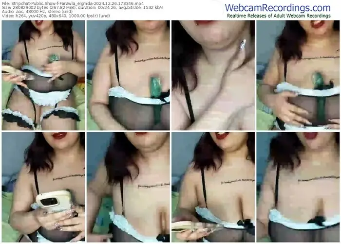 2024/12/26/stripchat-farawla_elgmda-17-33-46