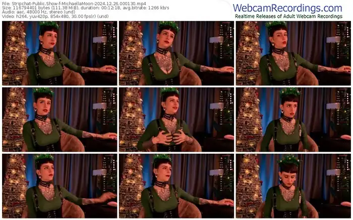 2024/12/26/stripchat-michaellamoon-00-01-30