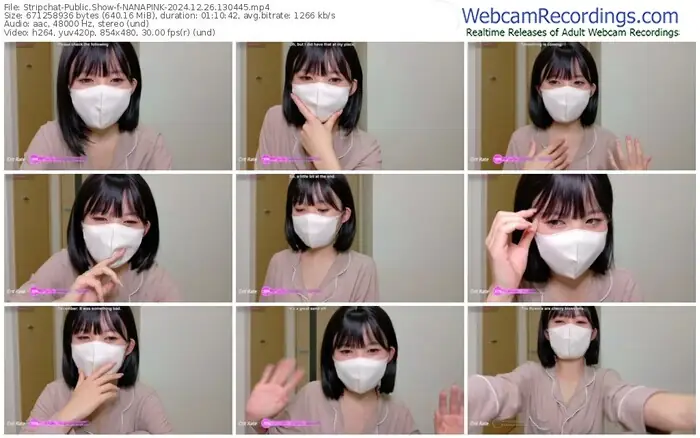 2024/12/26/stripchat-nanapink-13-04-45