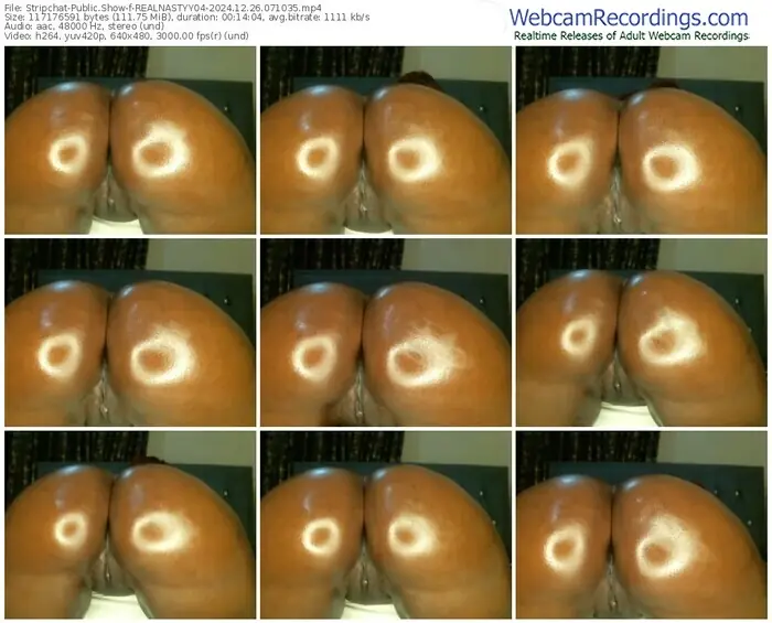 2024/12/26/stripchat-realnastyy04-07-10-35