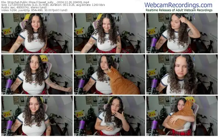 2024/12/26/stripchat-sweet_sully__-20-40-01