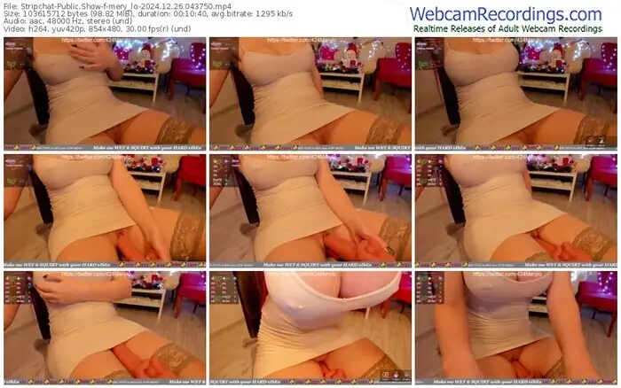 2024/12/26/stripchat-mery_lo-04-37-50
