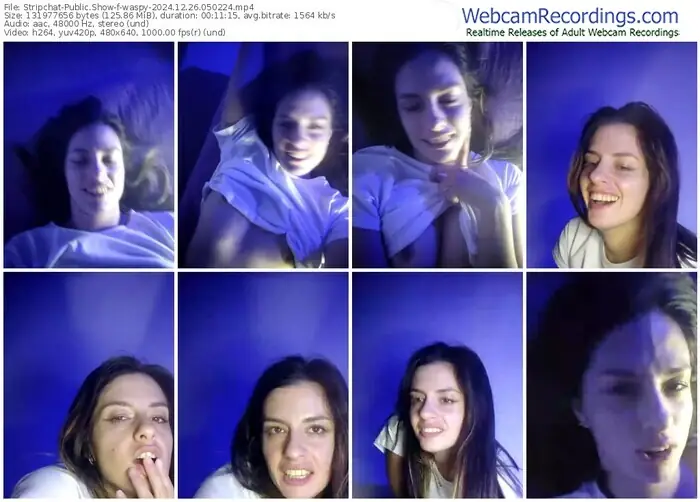 2024/12/26/stripchat-waspy-05-02-24