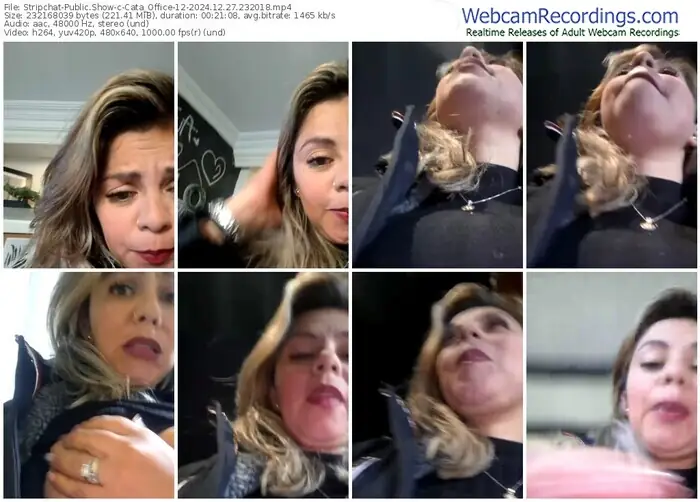 2024/12/27/stripchat-cata_office-12-23-20-18