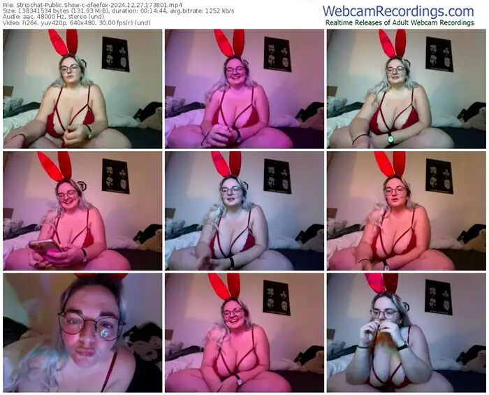 2024/12/27/stripchat-ofeefox-17-38-01