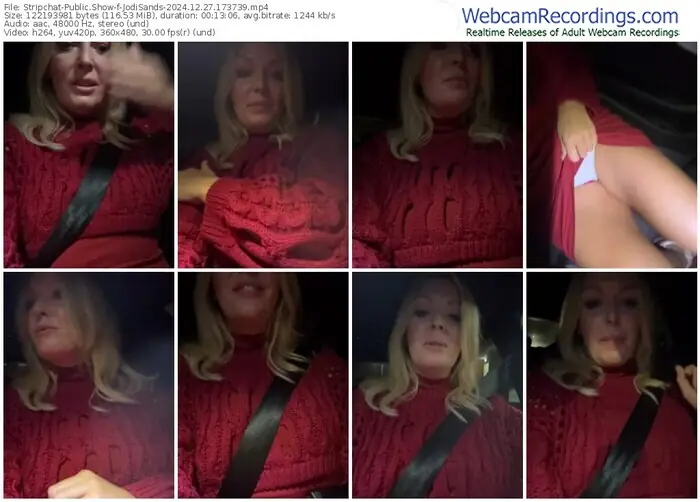 2024/12/27/stripchat-jodisands-17-37-39
