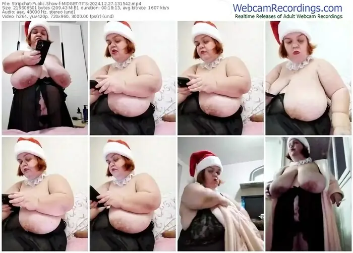 2024/12/27/stripchat-midget-tits-13-15-42