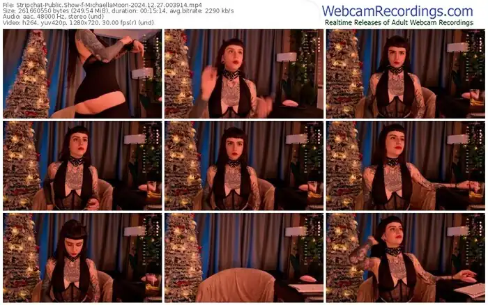 2024/12/27/stripchat-michaellamoon-00-39-14