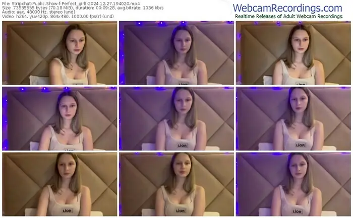 2024/12/27/stripchat-perfect_girll-19-40-20