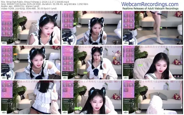 2024/12/27/stripchat-sheep-1-13-44-49