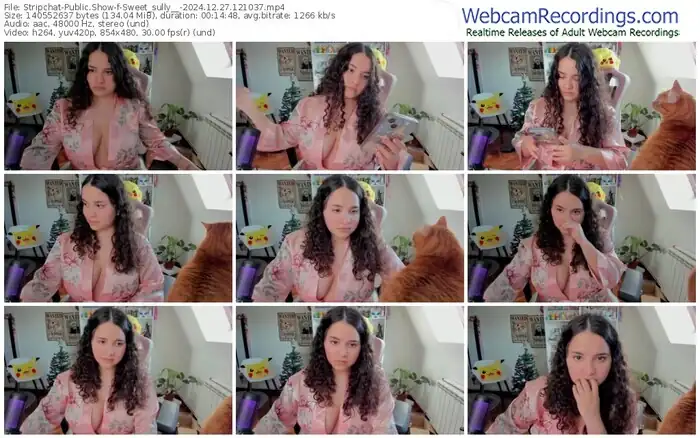 2024/12/27/stripchat-sweet_sully__-12-10-37