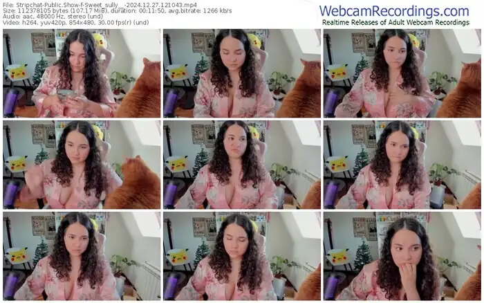2024/12/27/stripchat-sweet_sully__-12-10-43